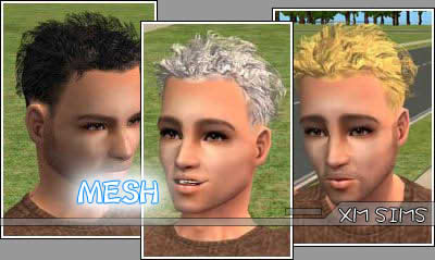 File:XMSims M 03.jpg