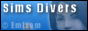S2banner-simsdivers.jpeg