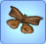 ButterflyMoth.jpg
