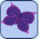 Royal Purple Butterfly