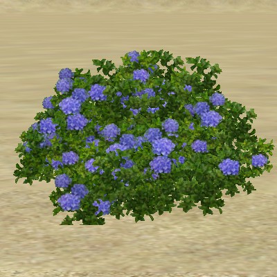 File:ContentListsCAWplant hydrangea.jpg