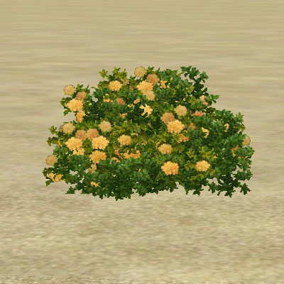 File:ContentListsCAWplant peony.jpg