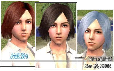 File:XMS Flora MeshHair071.jpg