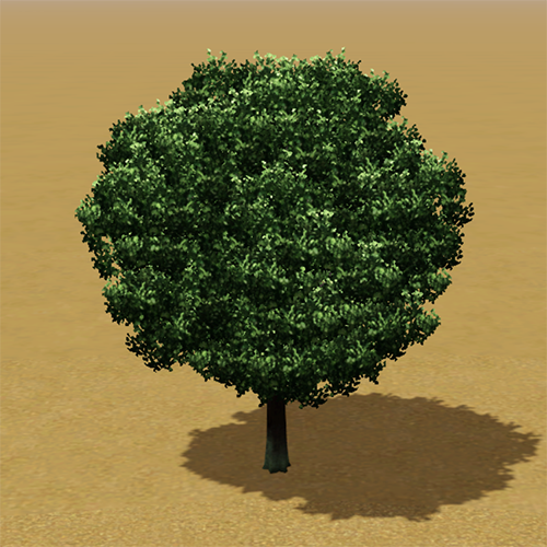 File:CAW trees bradford pear ITF.png