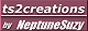 S2banner-ts2creations.jpeg