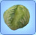 File:Lettuce.jpg