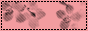 S2banner-esorsims.gif