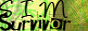 S2banner-simsurvivor.jpeg