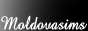 S2banner-moldovasims.png