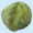 Thumbnail for version as of 11:44, 6 June 2009