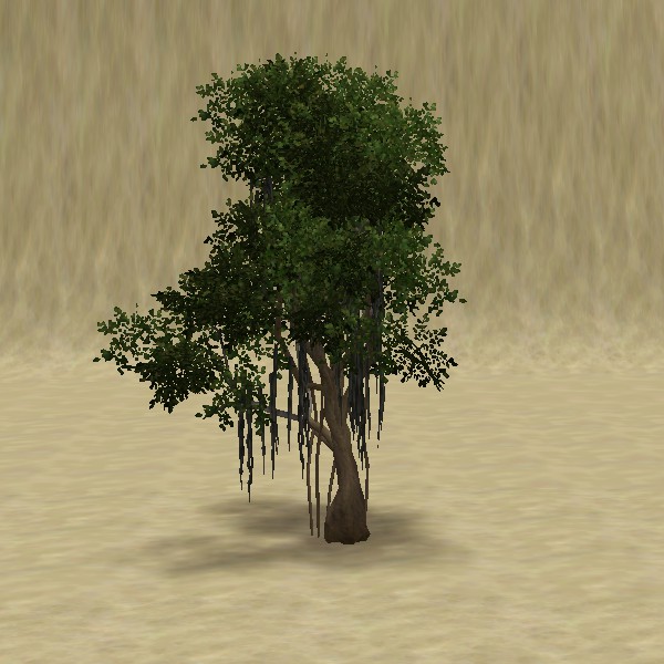 File:ContentListsCAWtree banyan.jpg