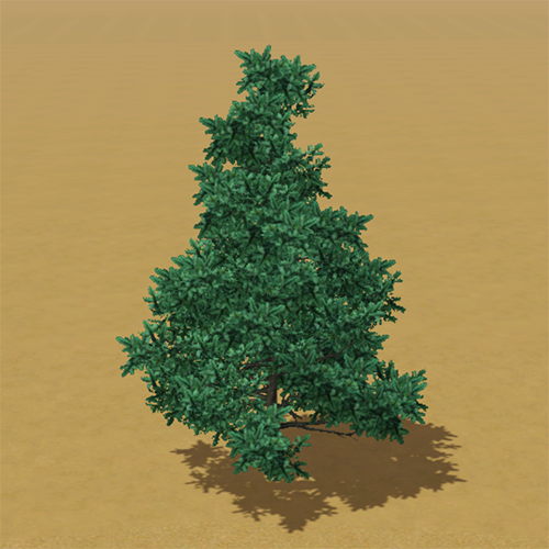 File:CAW trees spuce SN.png
