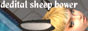 S2banner-deditalsheepbower.jpeg
