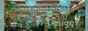 S2banner-simaginationdesigns.jpeg