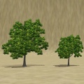 Thumbnail for version as of 09:32, 31 October 2011