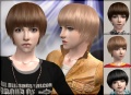 Thumbnail for version as of 06:09, 30 December 2008
