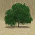 Thumbnail for version as of 08:40, 31 October 2011