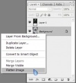 Thumbnail for version as of 17:54, 31 July 2009