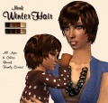 Thumbnail for version as of 21:58, 11 April 2008