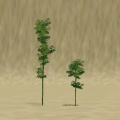 Thumbnail for version as of 16:00, 31 January 2026