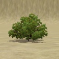 Thumbnail for version as of 08:33, 31 October 2011