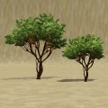 Thumbnail for version as of 08:34, 31 October 2011