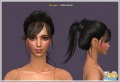 Thumbnail for version as of 00:57, 19 December 2008