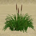 Thumbnail for version as of 08:13, 31 October 2011